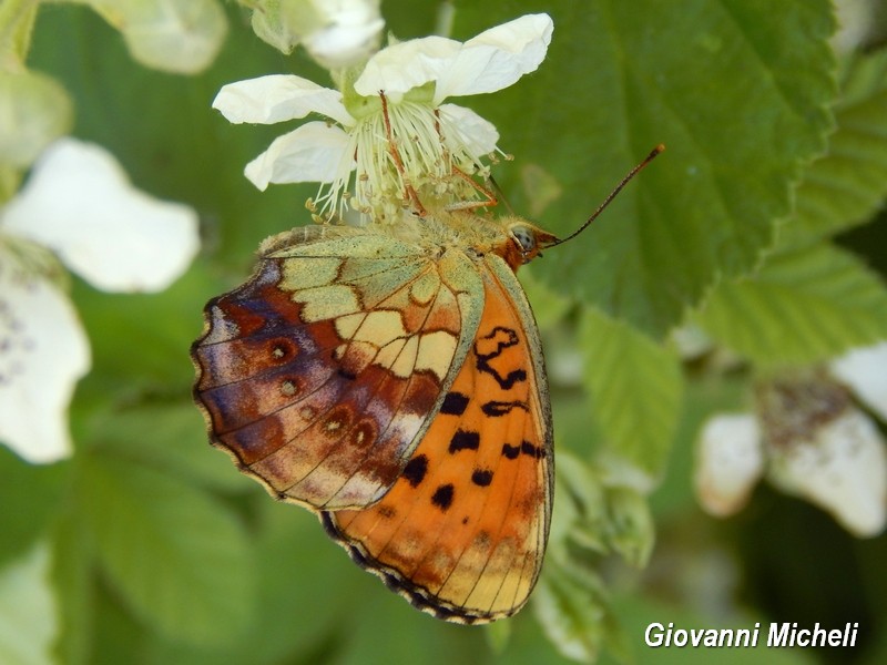 Parco del Ticino incontri del 27.5.15